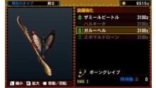 Monster Hunter 4 25.07.2013 (24)