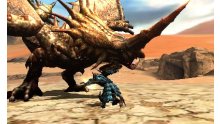 Monster-Hunter-4G-Ultimate_15-07-2014_screenshot-18