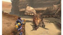 Monster-Hunter-4G-Ultimate_15-07-2014_screenshot-21