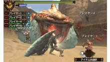 Monster-Hunter-4G-Ultimate_15-07-2014_screenshot-2