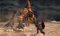 Monster Hunter 4G Ultimate 15 07 2014 screenshot 31