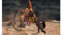 Monster-Hunter-4G-Ultimate_15-07-2014_screenshot-31