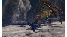 Monster-Hunter-4G-Ultimate_15-07-2014_screenshot-43