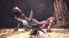 Monster-Hunter-World-08-23-03-2018