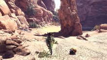 Monster-Hunter-World_Désert-des-Termites_screenshot (5)