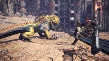 Monster-Hunter-World-Iceborne-18-10-05-2019