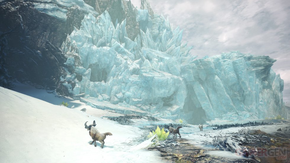 Monster-Hunter-World-Iceborne_2019_07-31-19_014