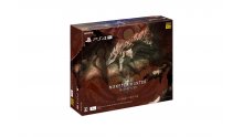 Monster Hunter World PS4 Pro Collector DualShock 4 (1)