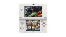 Monster Hunter X 3DS Colector theme (3)
