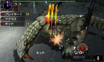 Monster Hunter XX 08 11 12 2016