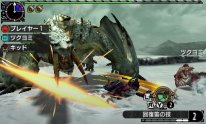 Monster Hunter XX 16 11 12 2016