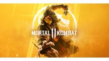 Mortal Kombat 11 XI Visuel