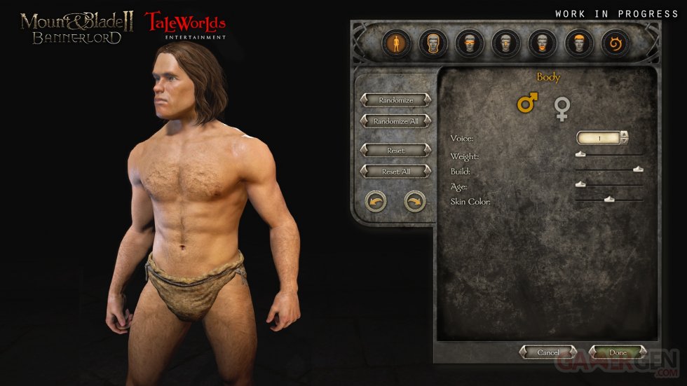 Mount Blade II Bannerlord customise