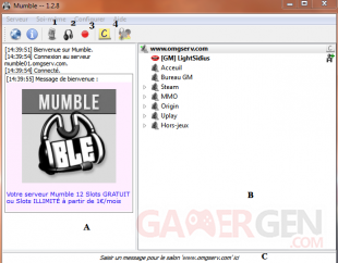 Mumble serv