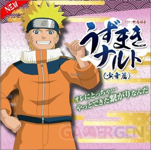 Naruto Shippuden Ultimate Ninja Storm 4 (1)