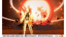 Naruto Shippuden Ultimate Ninja Storm Revolution screenshot 02122013 015
