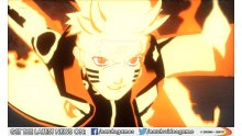Naruto Shippuden Ultimate Ninja Storm Revolution screenshot 02122013 016