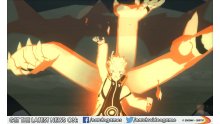 Naruto Shippuden Ultimate Ninja Storm Revolution screenshot 02122013 019