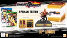 Naruto to Boruto Shinobi Striker images collector (1)