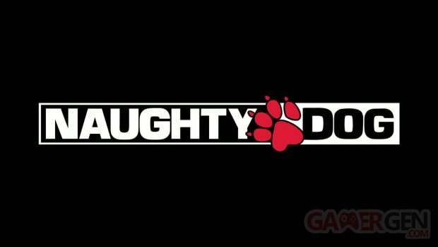 Naughty Dog vignette
