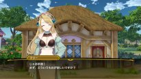 Nelke and the Legendary Alchemists Atelier of a New Land pic (13)