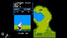 NES Golf Nintendo Switch Flog1