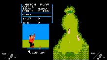 NES Golf Nintendo Switch Flog3