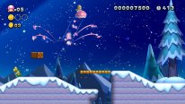 New Super Mario Bros. U Deluxe images (9)