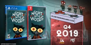 Night in the Woods 11 06 2019