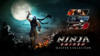 Ninja Gaiden Master Collection (26)