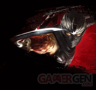 Ninja Gaiden Master Collection (29)