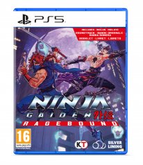 NINJA GAIDEN Ragebound physique PS5 Standard 12 06 2025