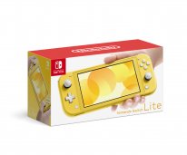 Nintendo Switch Lite hardware 12