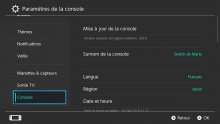 Nintendo Switch MAJ 8.0.0 Option ZOOM tuto images (10)