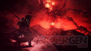 Nioh images (1)