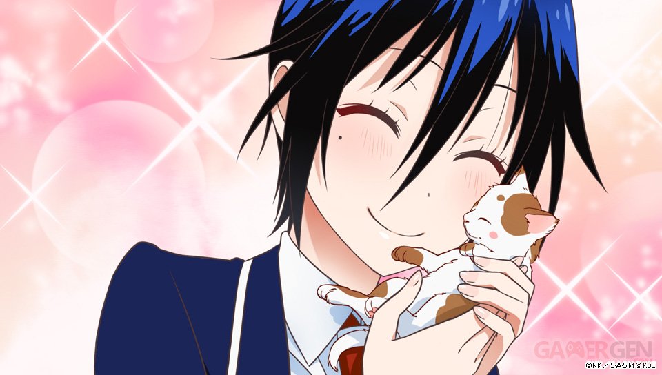 Nisekoi Saison 3 Date De Sortie