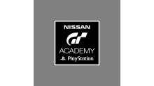 Nissan GT Academy Playstation logo 2014_1397476717