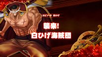One Piece Burning Blood 08 02 2016 screenshot (94)