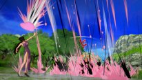 One Piece Burning Blood 23 01 2016 screenshot (40)