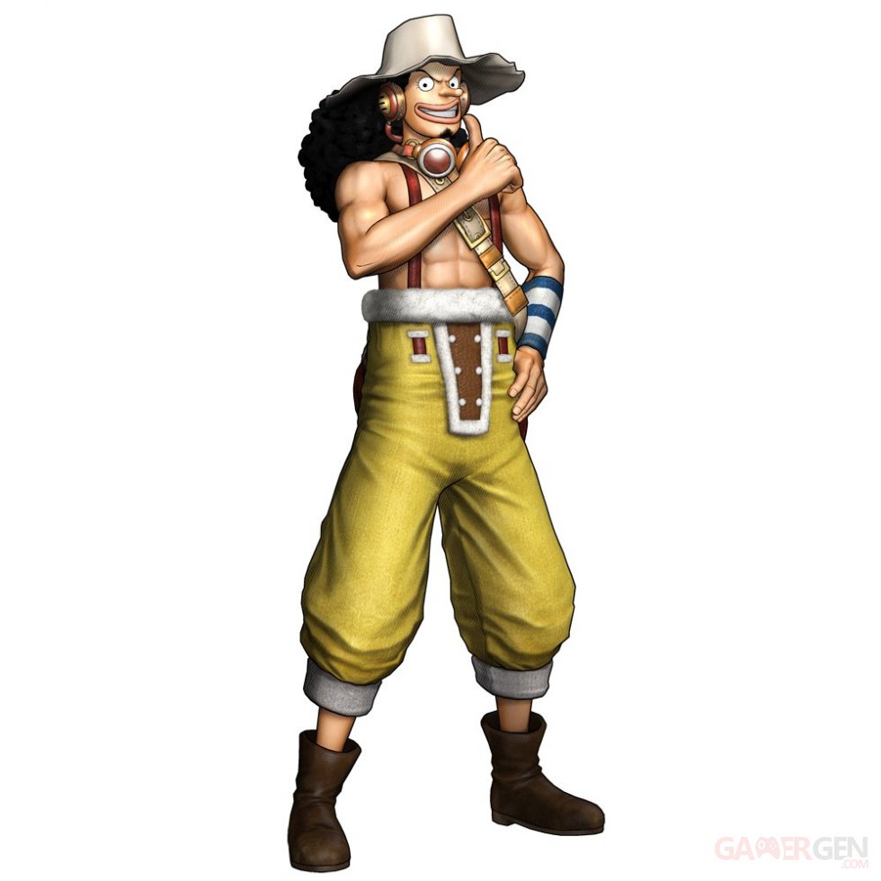 One Piece Pirate Warriors 3 17.01.2015  (12)