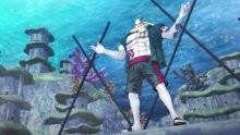 One-Piece-Pirate-Warriors-3_28-05-2015_screenshot-8