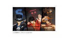 One Piece Pirate Warriors 3 collector PS4 (1)