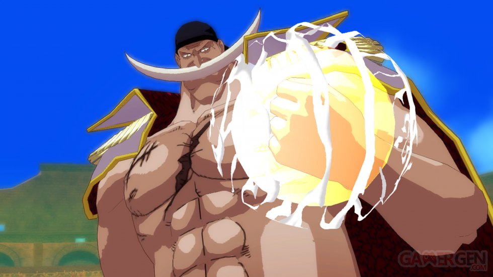 One Piece Unlimited World Red 12.05.2014  (31)