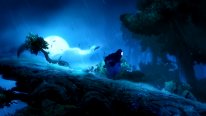 Ori and the Blind Forest 2014 09 17 14 003