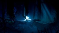 Ori and the Blind Forest 2014 09 17 14 006