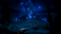 Ori and the Blind Forest 2014 09 17 14 007