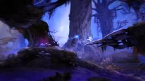 Ori and the Blind Forest 2014 09 17 14 008