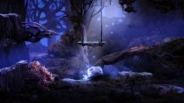 Ori and the Blind Forest 2014 09 17 14 009