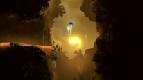 Ori and the Blind Forest 2014 09 17 14 010