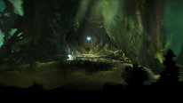 Ori and the Blind Forest 2014 09 17 14 011